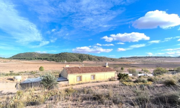Country House - Resale - Yecla - Yecla Centro