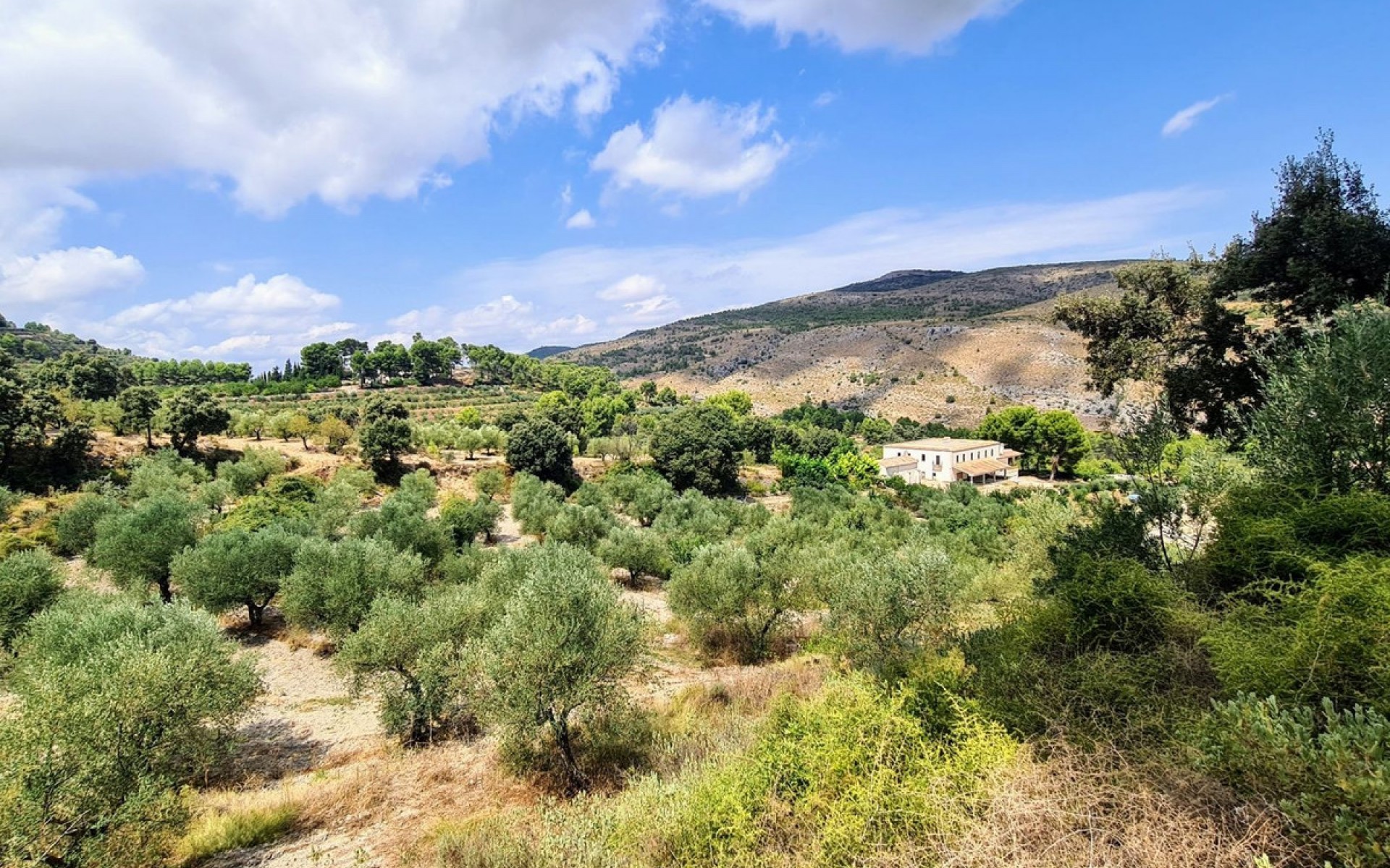 - Hus på landet - Muro de Alcoy - Muro de Alcoy Centro
