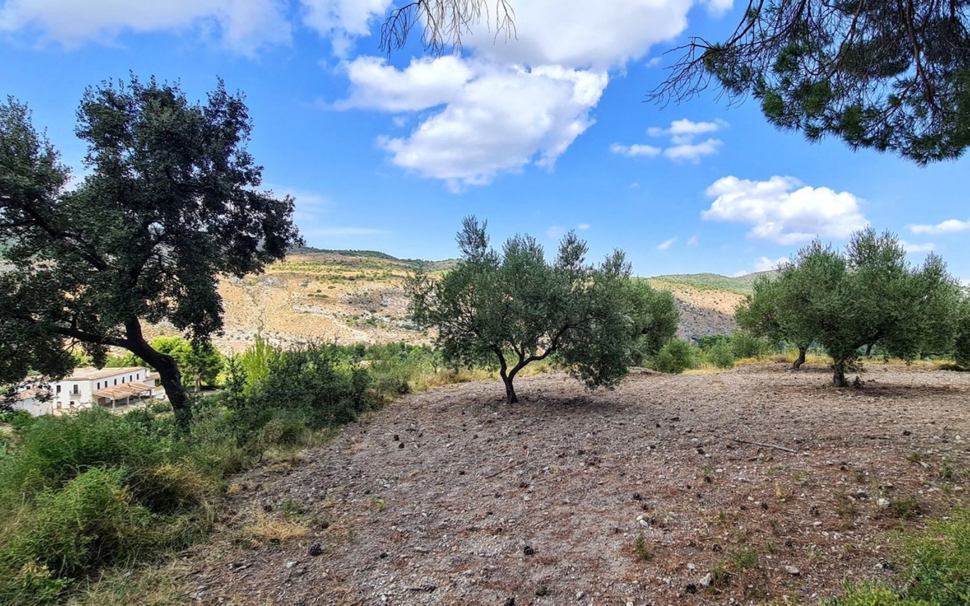  - Hus på landet - Muro de Alcoy - Muro de Alcoy Centro