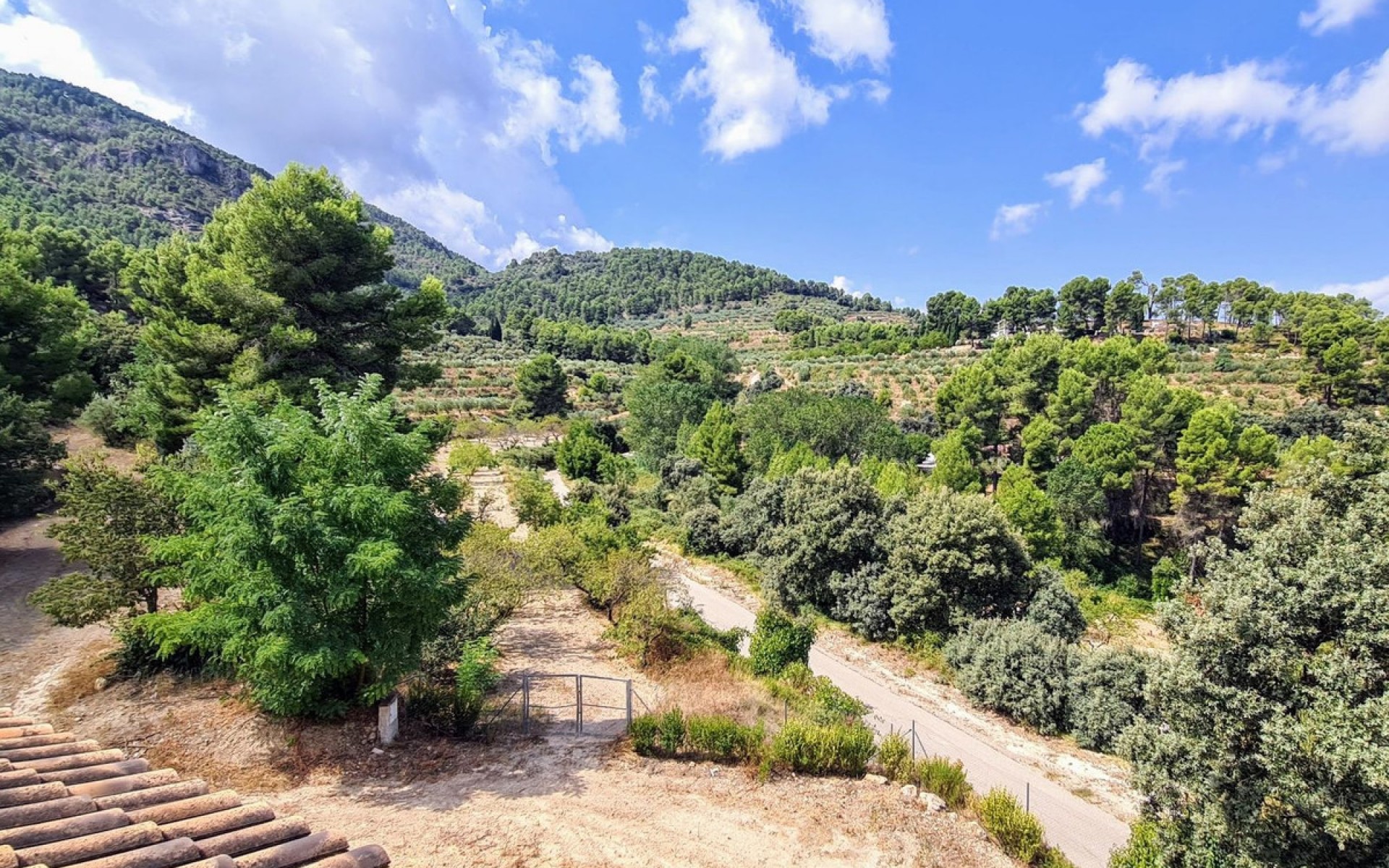  - Hus på landet - Muro de Alcoy - Muro de Alcoy Centro