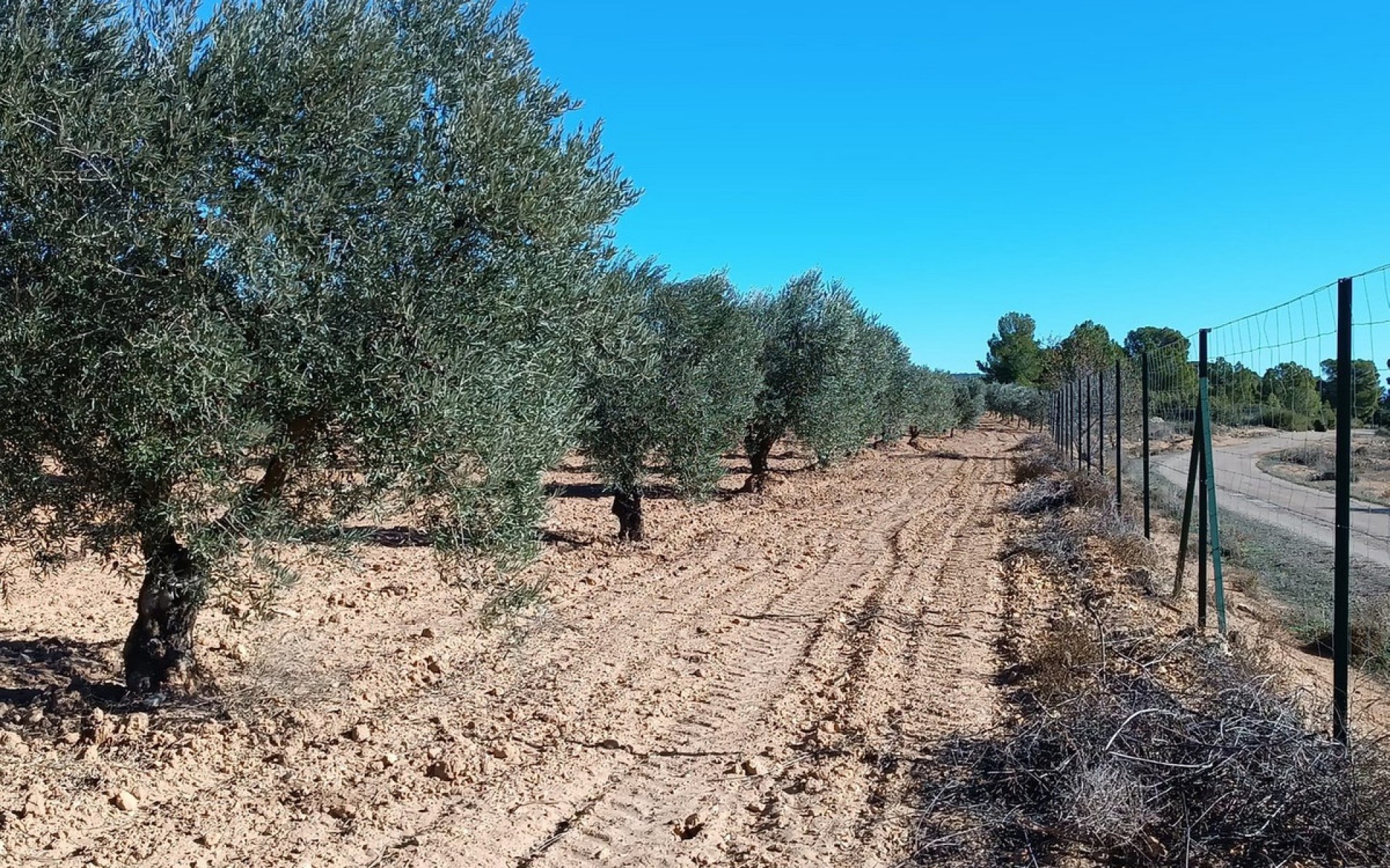  - Hus på landet -  - Yecla Centro