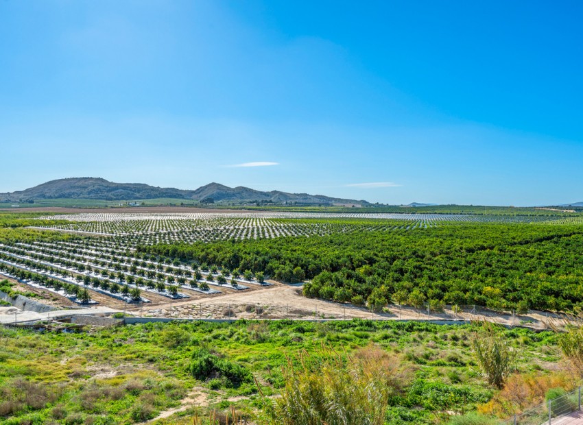  - Lägenhet -  - Algorfa Centro