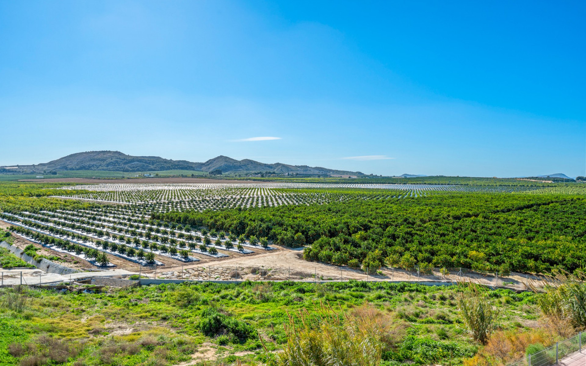  - Lägenhet -  - Algorfa Centro