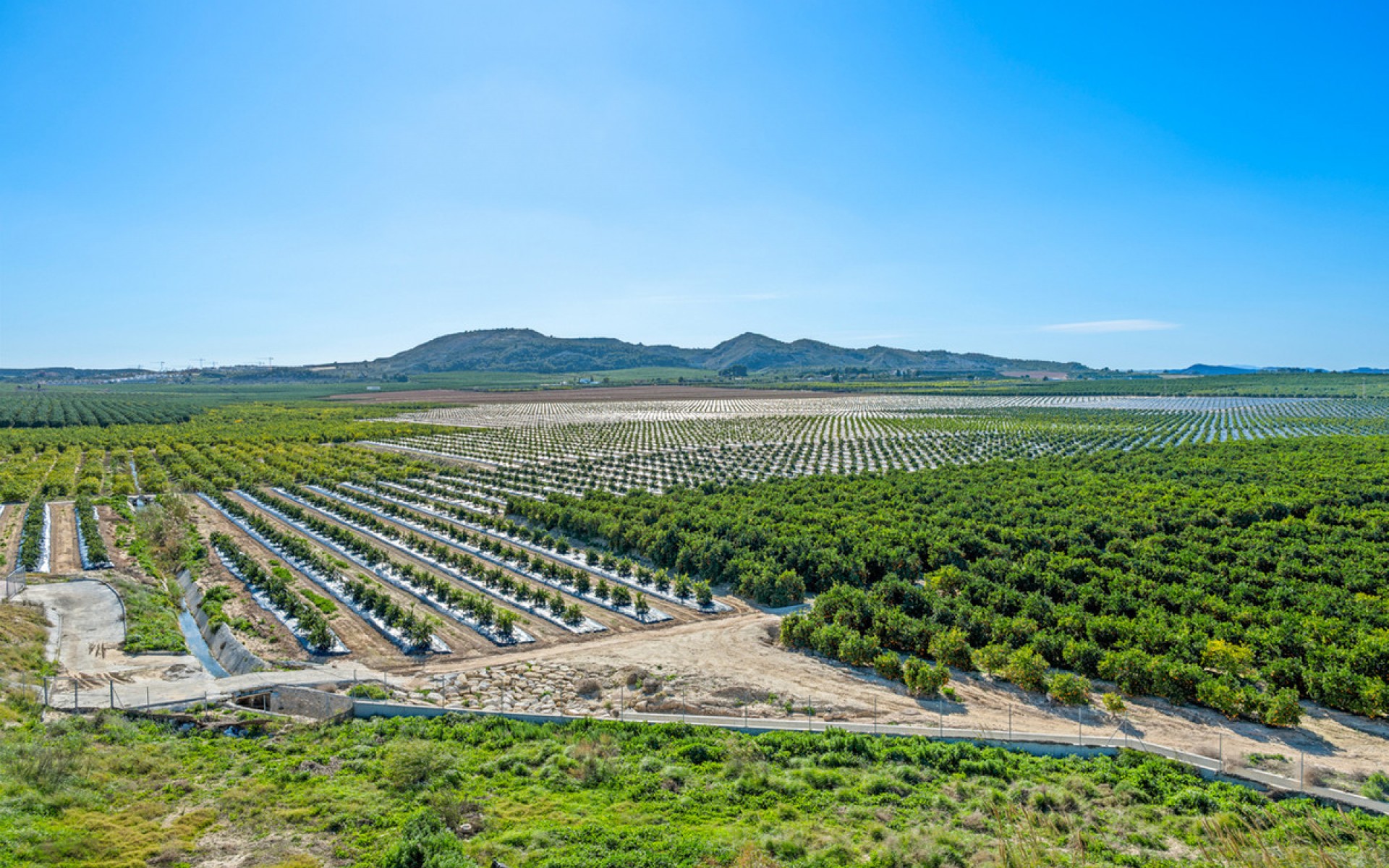  - Lägenhet -  - Algorfa Centro