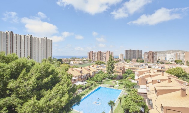 Lägenhet -  -  - Alicante City Centro