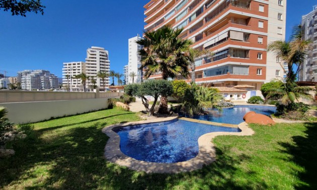 Lägenhet -  -  - Calpe Centro