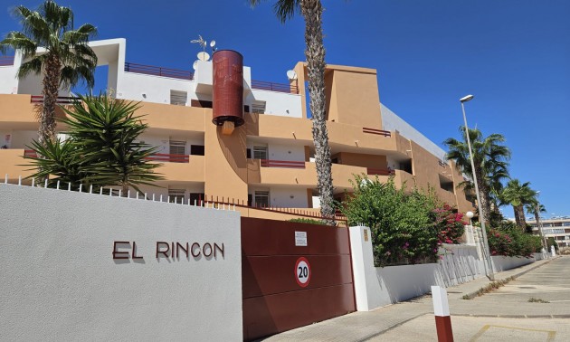 Lägenhet -  -  - El Rincon