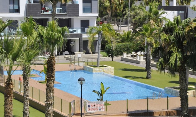 Lägenhet -  -  - Guardamar del Segura Centro