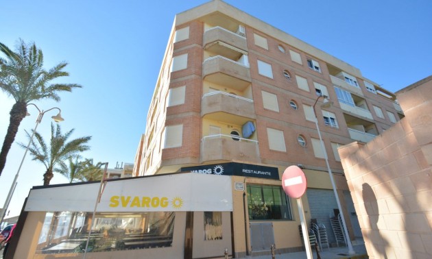 Lägenhet -  -  - Guardamar del Segura Centro
