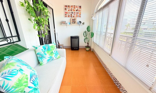 Lägenhet -  -  - Los Montesinos Centro
