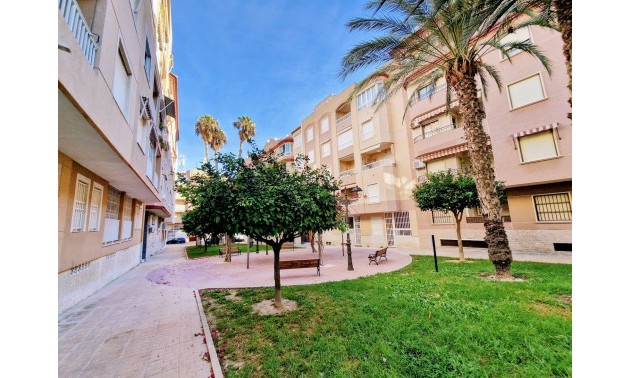 Lägenhet -  -  - Mercadona Guardamar