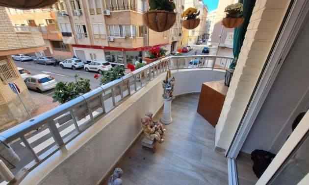 Lägenhet -  -  - Torrevieja Centro