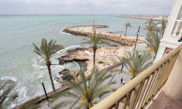 Lägenhet -  -  - Torrevieja Centro