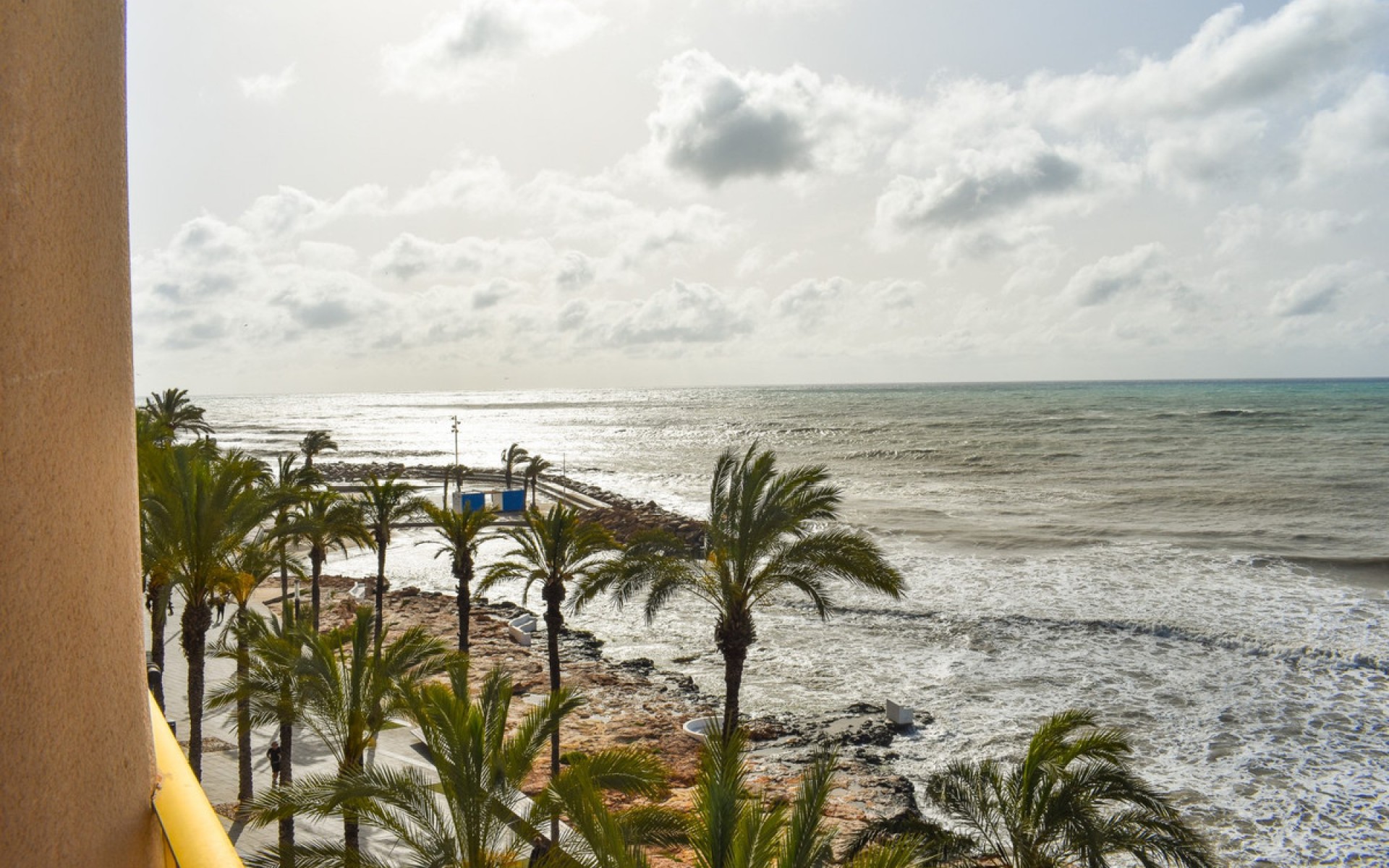  - Lägenhet -  - Torrevieja Centro