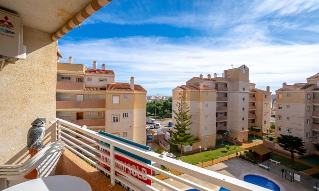 Lägenhet -  -  - Torrevieja Centro