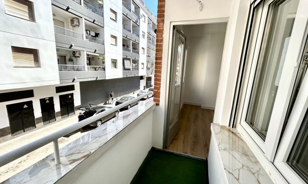 Lägenhet -  -  - Torrevieja Centro