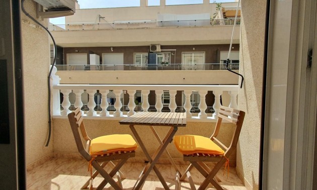 Lägenhet -  -  - Torrevieja Centro