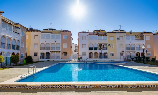 Lägenhet -  -  - Torrevieja Centro