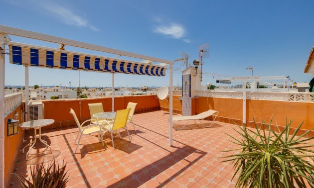 Lägenhet -  -  - Torrevieja Centro