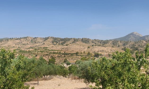 Land - Resale - Abanilla - Abanilla Centro