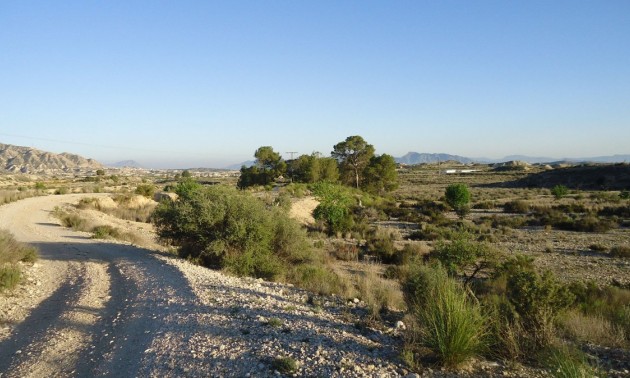 Land - Resale - Abanilla - Abanilla Centro