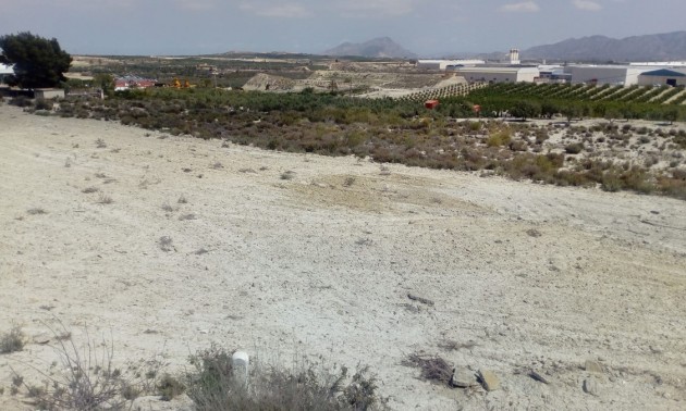 Land - Resale - Fortuna - Fortuna Centro