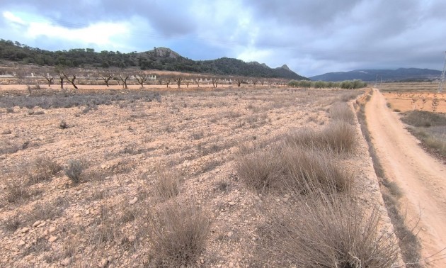 Land - Resale - Jalon - La Solana