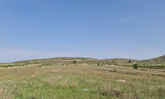 Land - Resale - Jumilla - Jumilla Centro