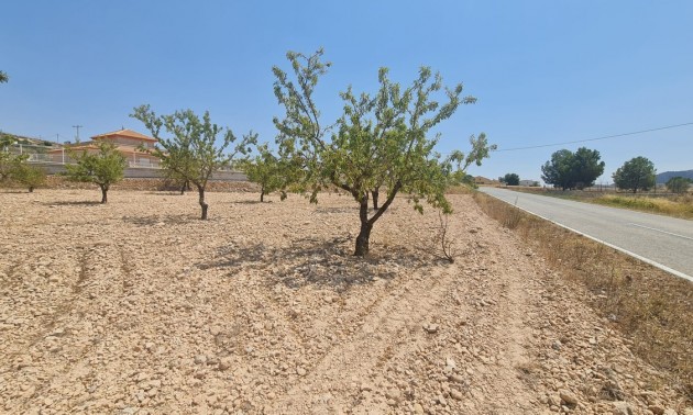 Land - Resale - Jumilla - Jumilla Centro