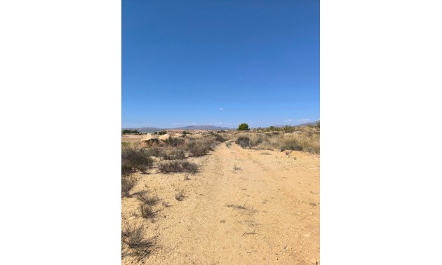 Land - Resale - Jumilla - Jumilla Centro