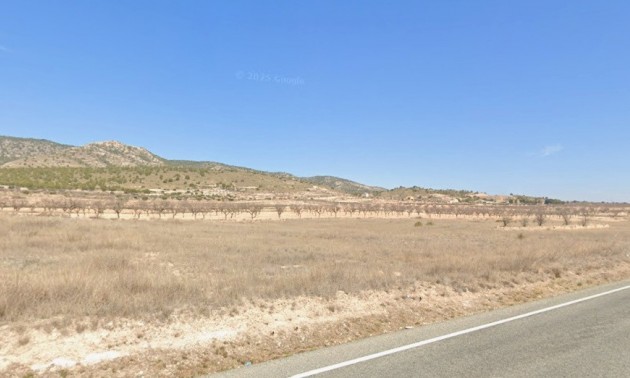 Land - Resale - Jumilla - Jumilla Centro