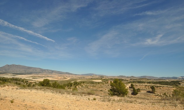 Land - Resale - Jumilla - La Zarza