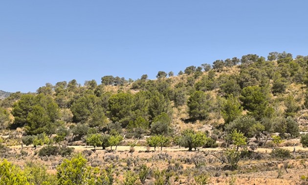 Land - Resale - Monóvar - Monòver - Monóvar - Monòver Centro