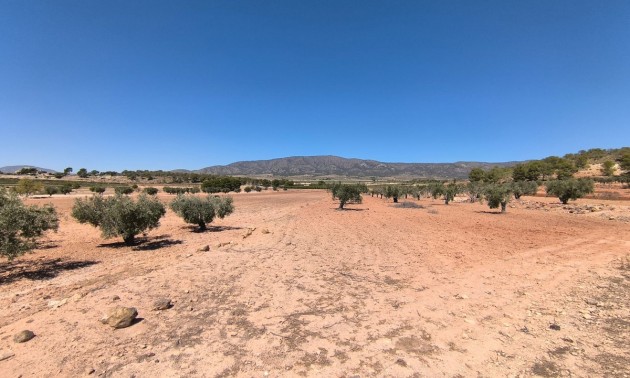 Land - Resale - Monóvar - Monòver - Monóvar - Monòver Centro