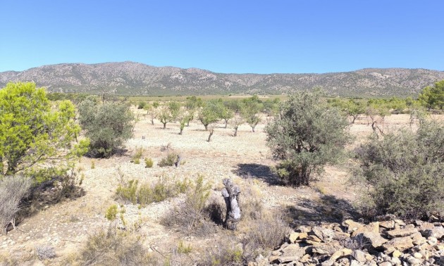 Land - Resale - Monóvar - Monòver - Monóvar - Monòver Centro
