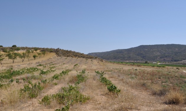 Land - Resale - Pinoso - Pinoso Centro