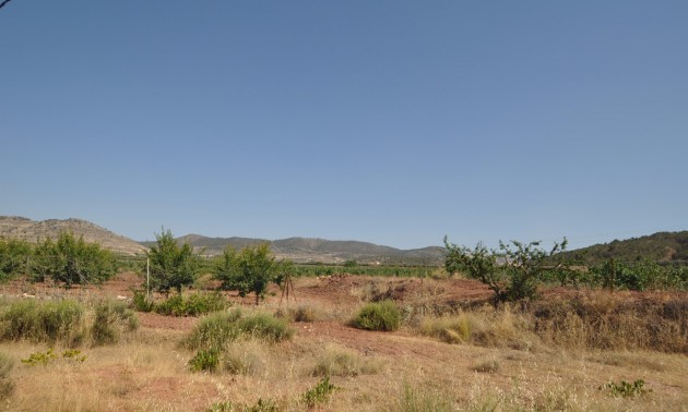 Land - Resale - Pinoso - Pinoso Centro