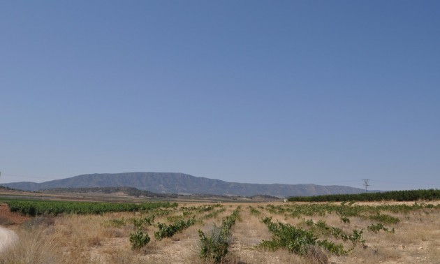 Land - Resale - Pinoso - Pinoso Centro