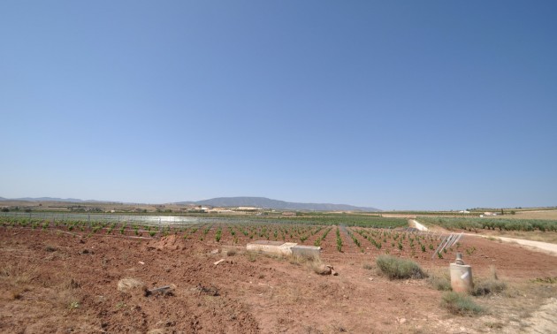 Land - Resale - Pinoso - Pinoso Centro