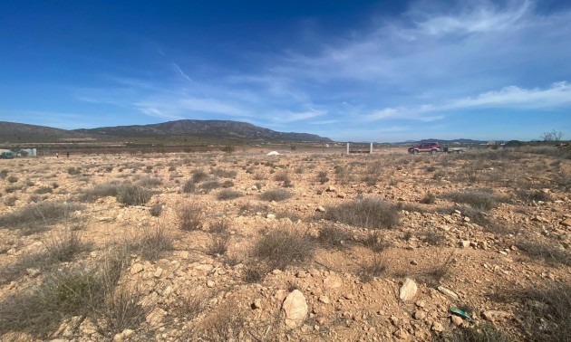 Land - Resale - Pinoso - Pinoso Centro