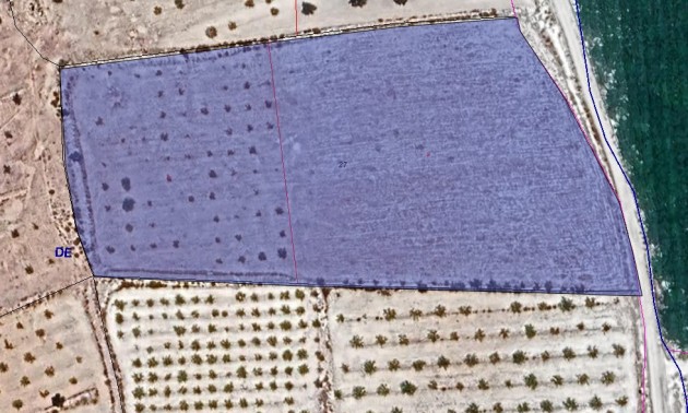 Land - Resale - Pinoso - Pinoso Centro