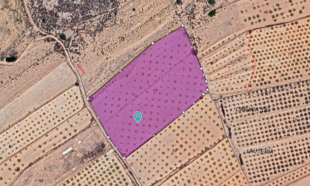 Land - Resale - Pinoso - Pinoso Centro