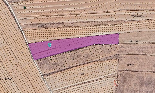 Land - Resale - Pinoso - Pinoso Centro