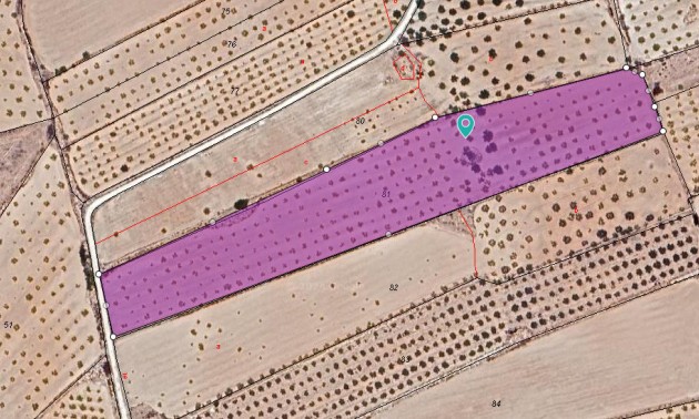 Land - Resale - Pinoso - Pinoso Centro