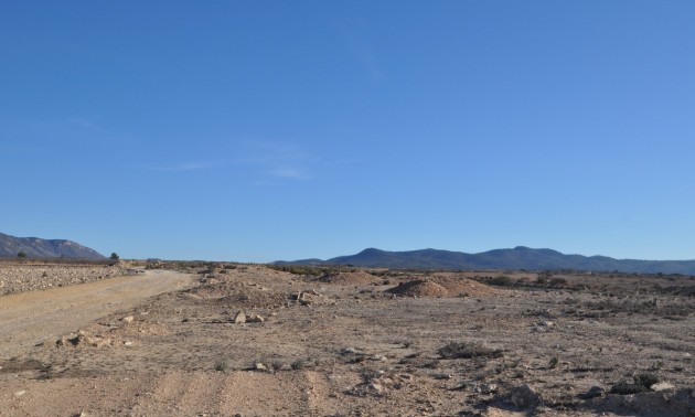 Land - Resale - Pinoso - Pinoso Centro