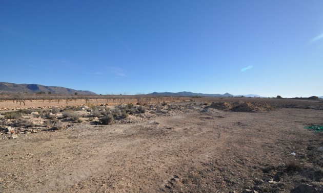 Land - Resale - Pinoso - Pinoso Centro