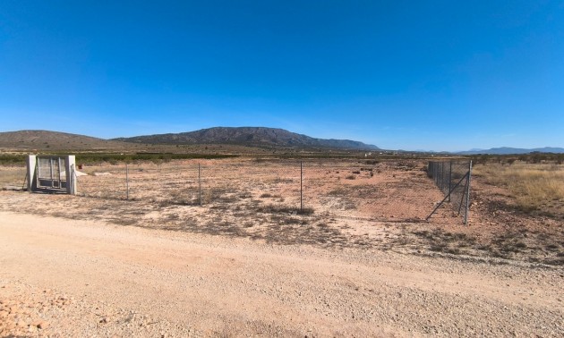 Land - Resale - Pinoso - Pinoso Centro