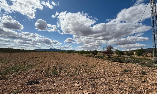 Land - Resale - Pinoso - Pinoso Centro