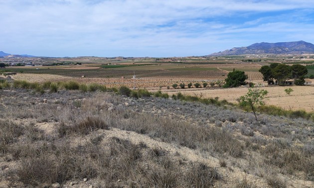 Land - Resale - Pinoso - Pinoso Centro