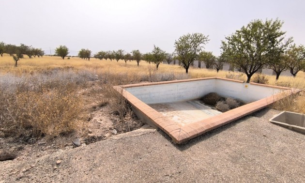 Land - Resale - Yecla - Yecla Centro